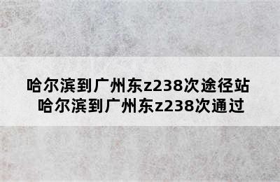 哈尔滨到广州东z238次途径站 哈尔滨到广州东z238次通过